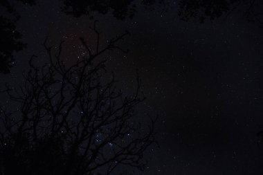 Gökyüzü arkaplanı ve gece yıldızları