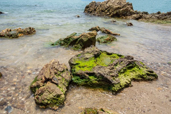 Vacker Strand Och Hav — Stockfoto