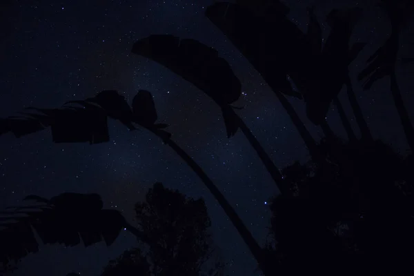 Sfondo Cielo Stelle Notte — Foto Stock