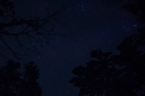 Fond Ciel Étoiles Nuit — Photo