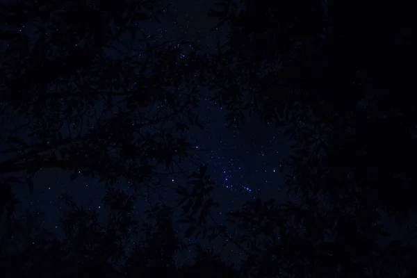 Céu Fundo Estrelas Noite — Fotografia de Stock