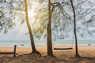 Doğa, deniz ve ağaçların manzarası
