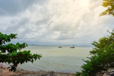 Doğa, deniz ve ağaçların manzarası
