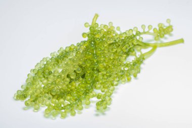 Beyaz arka planda makro yosun üzümleri