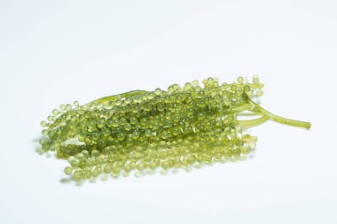 Beyaz arka planda makro yosun üzümleri