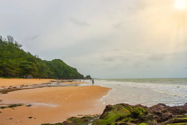 Vista Della Natura Del Mare Degli Alberi — Foto Stock