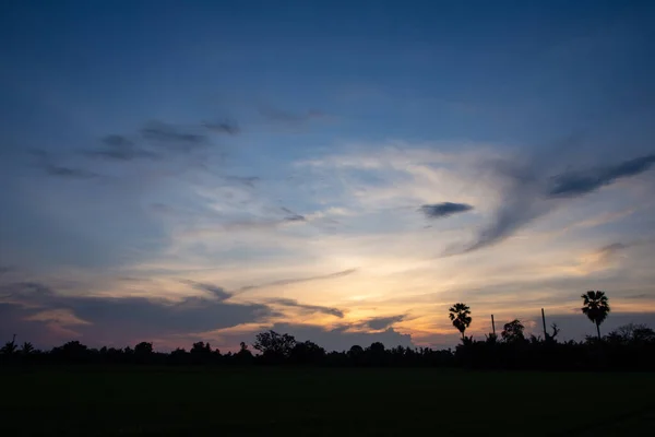 Sol Noite Campo Arroz — Fotografia de Stock