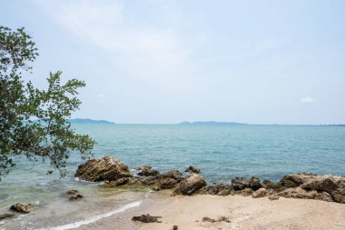 Güzel sahil ve deniz