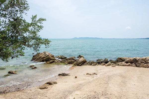 Güzel sahil ve deniz