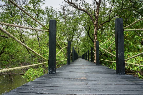 Szcenírozott Gyalogos Híd Mangrove — Stock Fotó