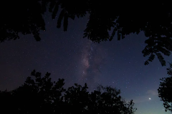 Sky Pozadí Noci Mléčná Dráha — Stock fotografie