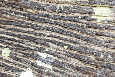 Uzayda ahşap desenli arkaplan