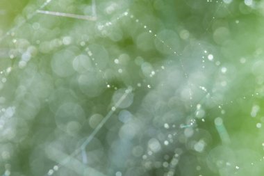 Doğal ışıktan Bokeh arkaplanı