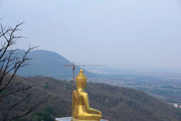 Buddha Overlooking Forest — Stock Photo, Image