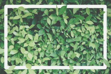 Phu Tubberk doğa manzarası