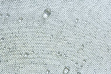 Beyaz tüyler üzerine makro arkaplan damlası.