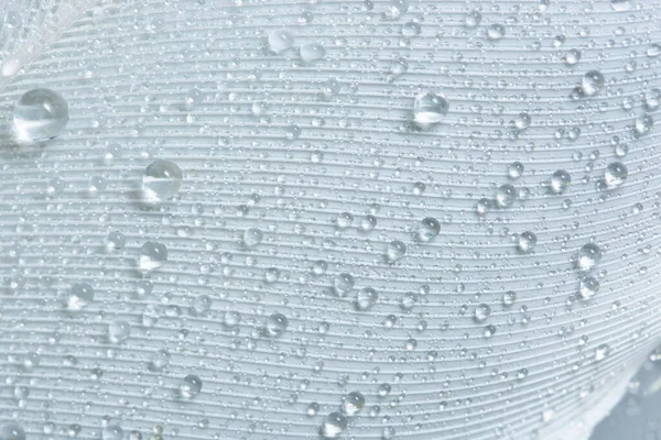 Beyaz Tüyler Üzerine Makro Arkaplan Damlası — Stok fotoğraf