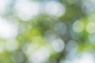 Doğal bokeh arkaplan bulanıklığı