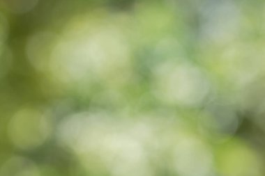 Doğal bokeh arkaplan bulanıklığı