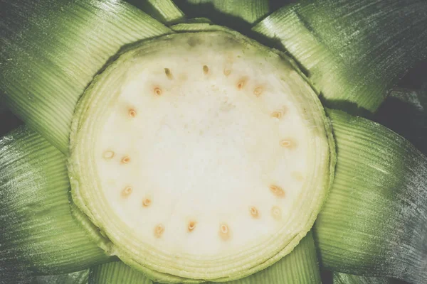 Yeşil yapraklardan oluşan arka plan makro deseni