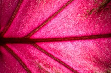 Gece arkaplanındaki gökyüzü