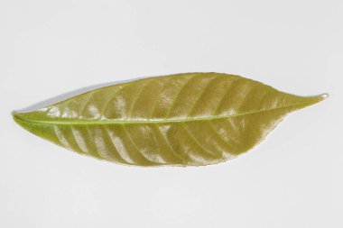 Gece arkaplanındaki gökyüzü