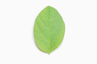 Gece arkaplanındaki gökyüzü