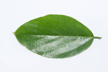 Gece arkaplanındaki gökyüzü