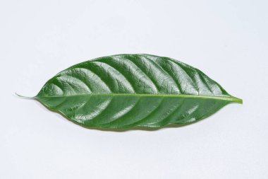 Gece arkaplanındaki gökyüzü