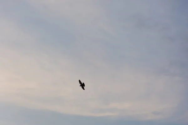 美丽的天空 阳光普照 — 图库照片