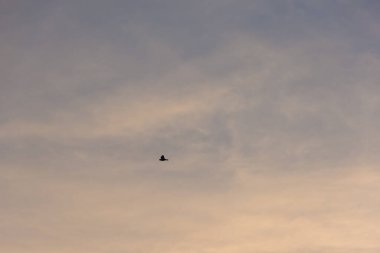 Gökyüzü ve bulutların arkaplanı