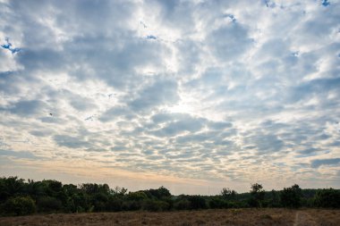 Güzel gökyüzü ve bulutlar