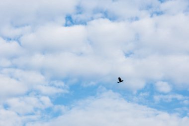 Güzel gökyüzü ve bulutlar