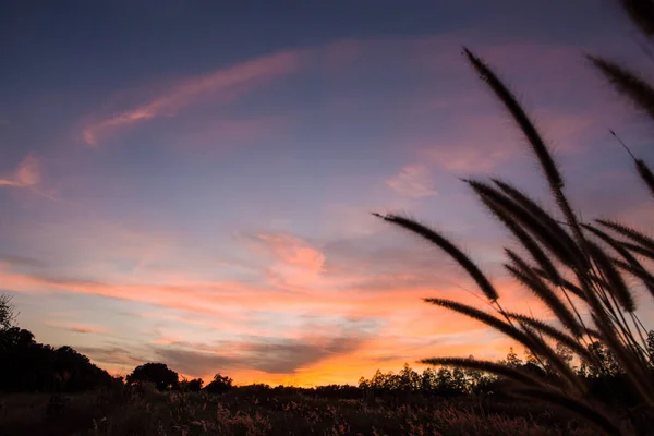 Céu Bonito Quando Sol Brilha — Fotografia de Stock