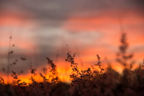 Céu Bonito Quando Sol Brilha — Fotografia de Stock