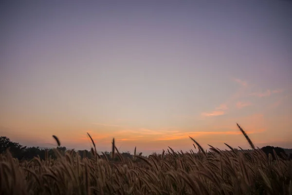 Céu Bonito Quando Sol Brilha — Fotografia de Stock