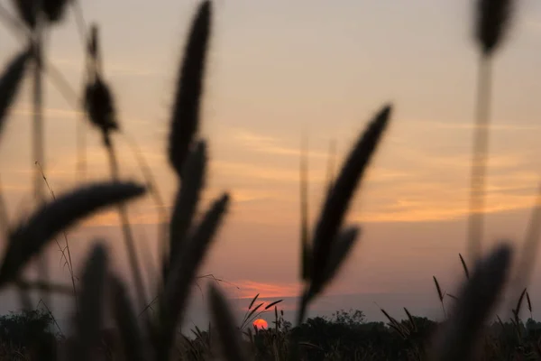 Céu Bonito Quando Sol Brilha — Fotografia de Stock