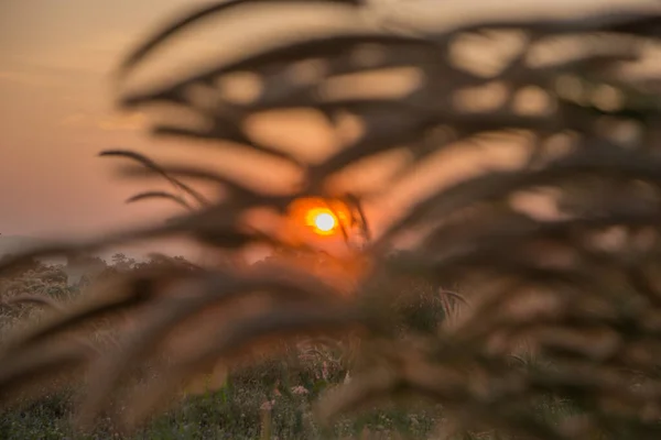 Céu Bonito Quando Sol Brilha — Fotografia de Stock