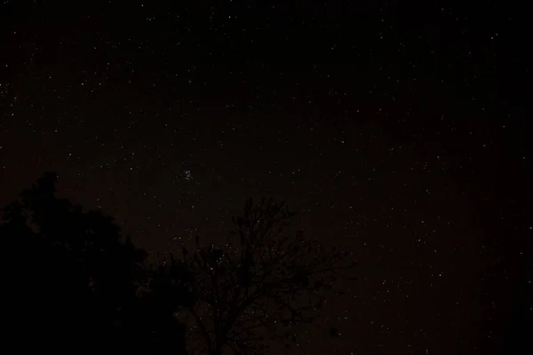 Céu Estrelas Noite — Fotografia de Stock