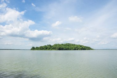 Güzel gökyüzü ağacı manzarası