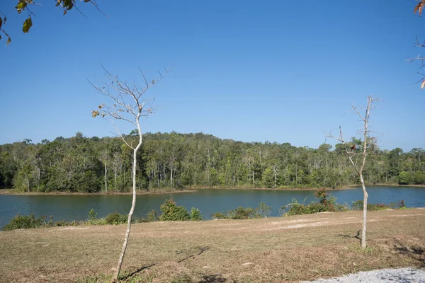 Bosque Parque Nacional Khao Yai —  Fotos de Stock