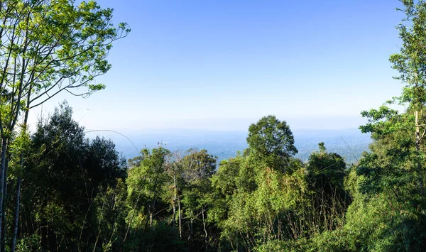 Panorama Seyahat Alfa Trom Chai Bakış Açısı Khaoyai Ulusal Park — Stok fotoğraf