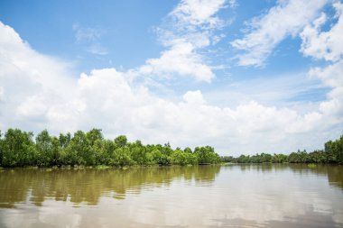Bang Pakong Nehri Görünümü