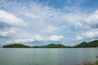 Ormanlı, parlak gökyüzü.