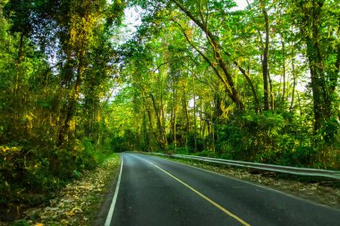 Hayaller Ormanı 'na giden yol güzeldir..