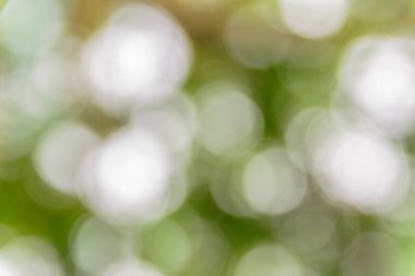 Fotoğraf güzel bokeh arkaplan.