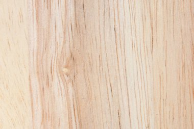 ağaç ahşap dokusu arkaplanı