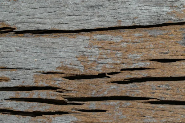 Baum Holz Textur Hintergrund — Stockfoto