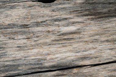 ağaç ahşap dokusu arkaplanı