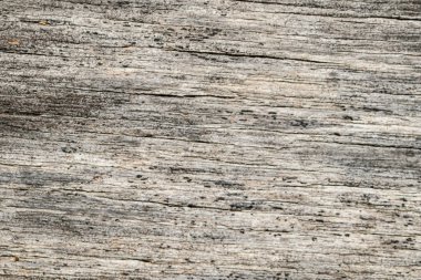 ağaç ahşap dokusu arkaplanı